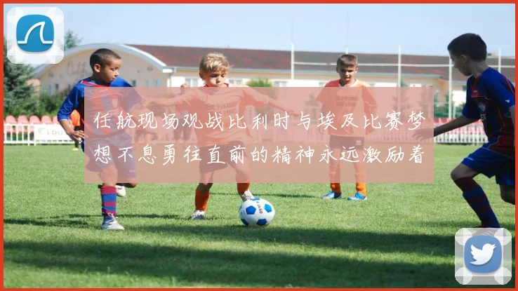 任航现场观战比利时与埃及比赛梦想不息勇往直前的精神永远激励着我们