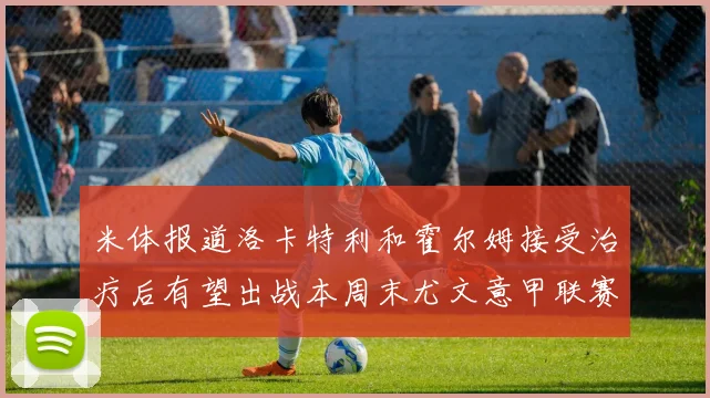 米体报道洛卡特利和霍尔姆接受治疗后有望出战本周末尤文意甲联赛